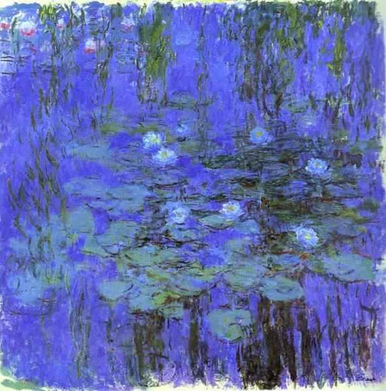 blue water lilies.jpg